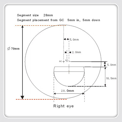 फ्लॅट टॉप 1.56 फोटोक्रोमिक ग्रे Cr39 चष्मा लेन्सेस AR कोटिंग